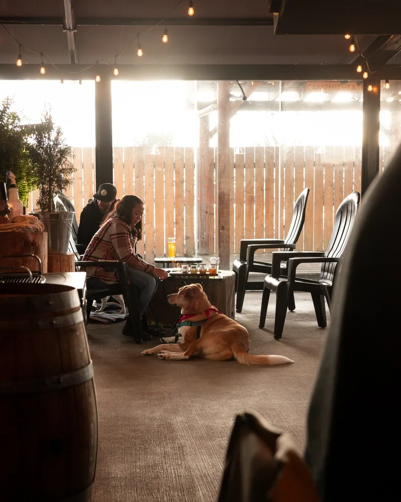 Dogs at Camp Beer Co.